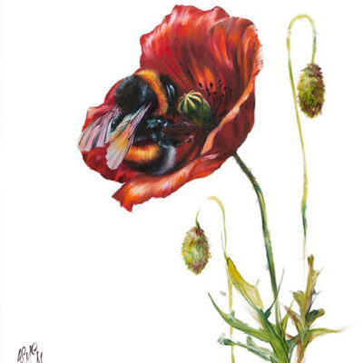 poppy-love-georgina-mcmasters